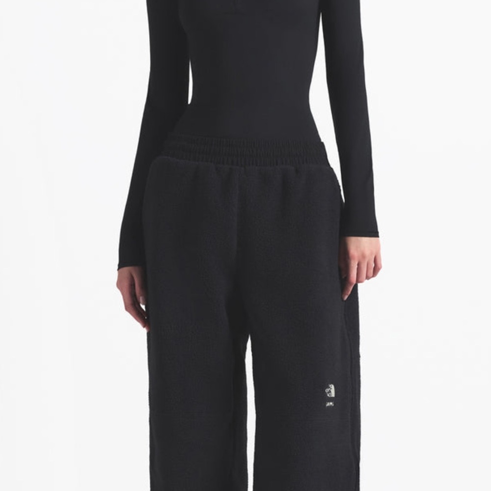 NWT skims x north face 1995 Denali fleece straight leg pant
